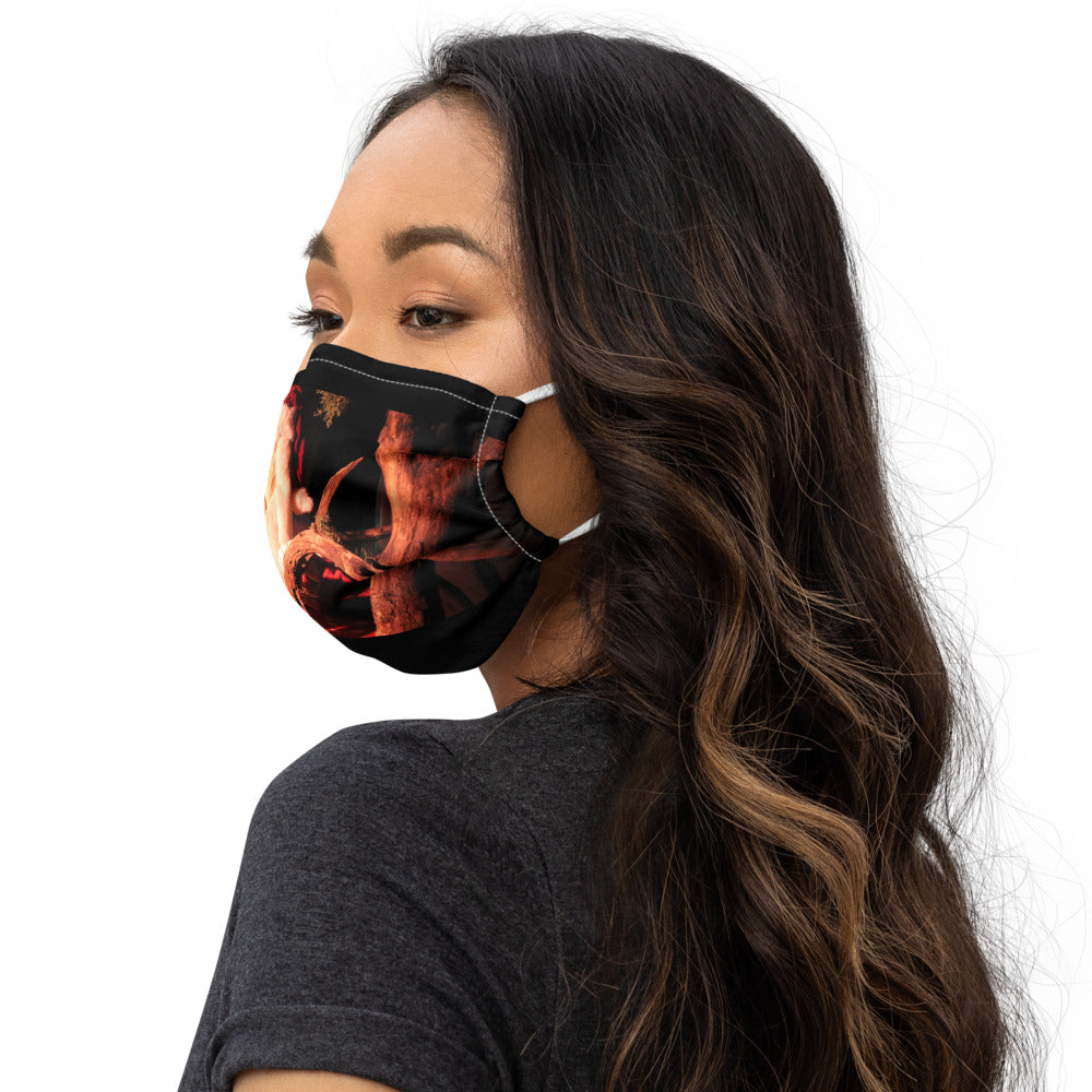Premium face mask, Santa Searches
