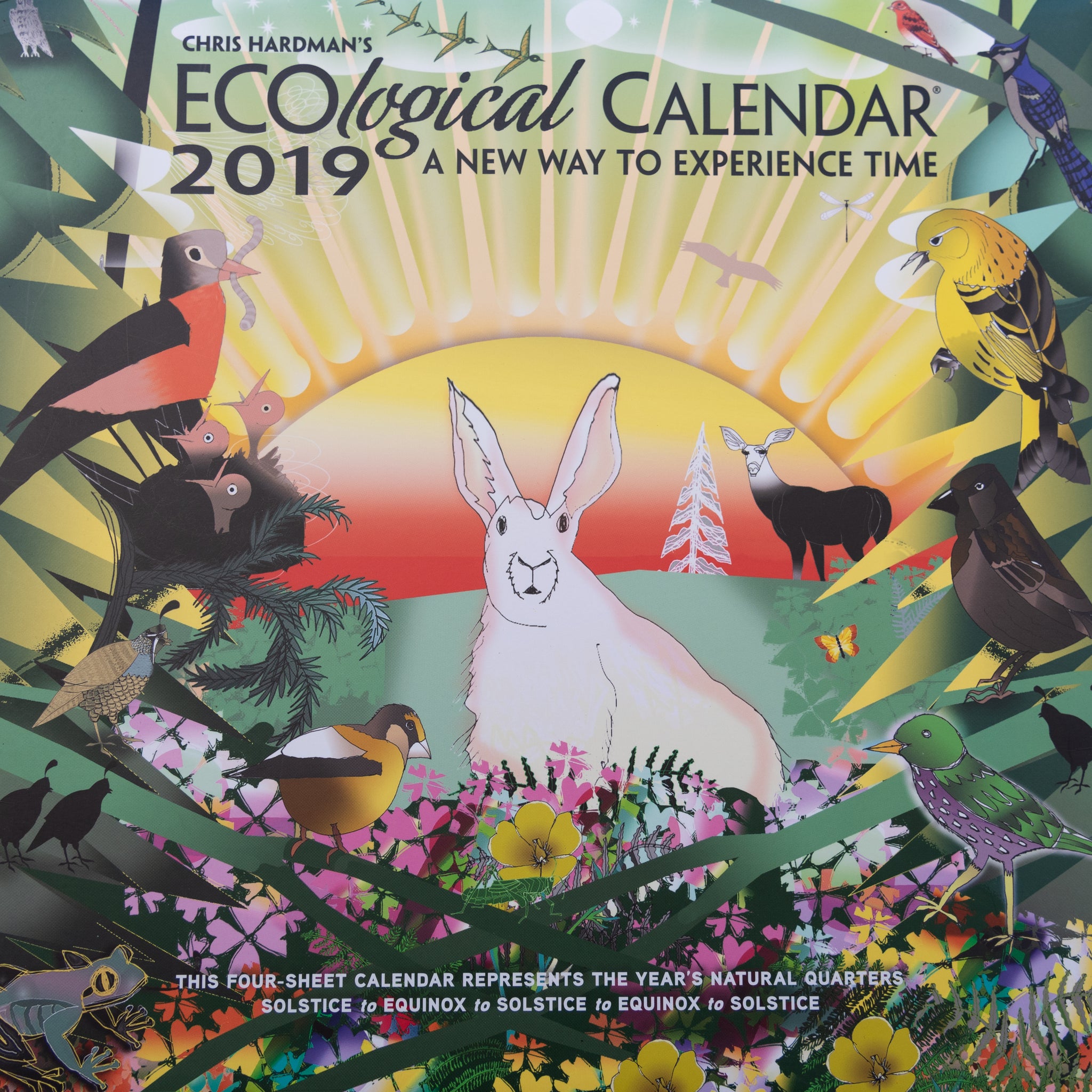 SOLD OUT!! Complete set of All ECOlogical Calendars 2005 -2021, FREE SHIPPING ON SET