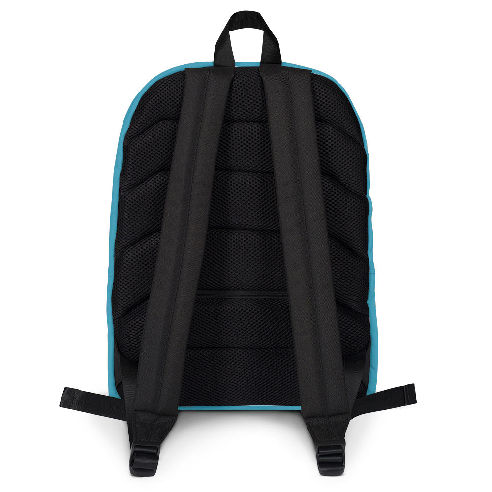 Backpack, Summer Gull