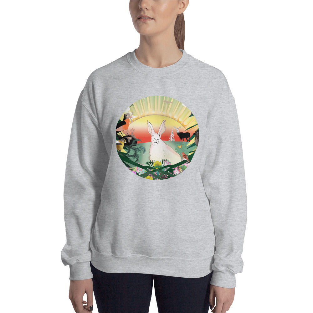 Sweatshirt, Spring Rabbit