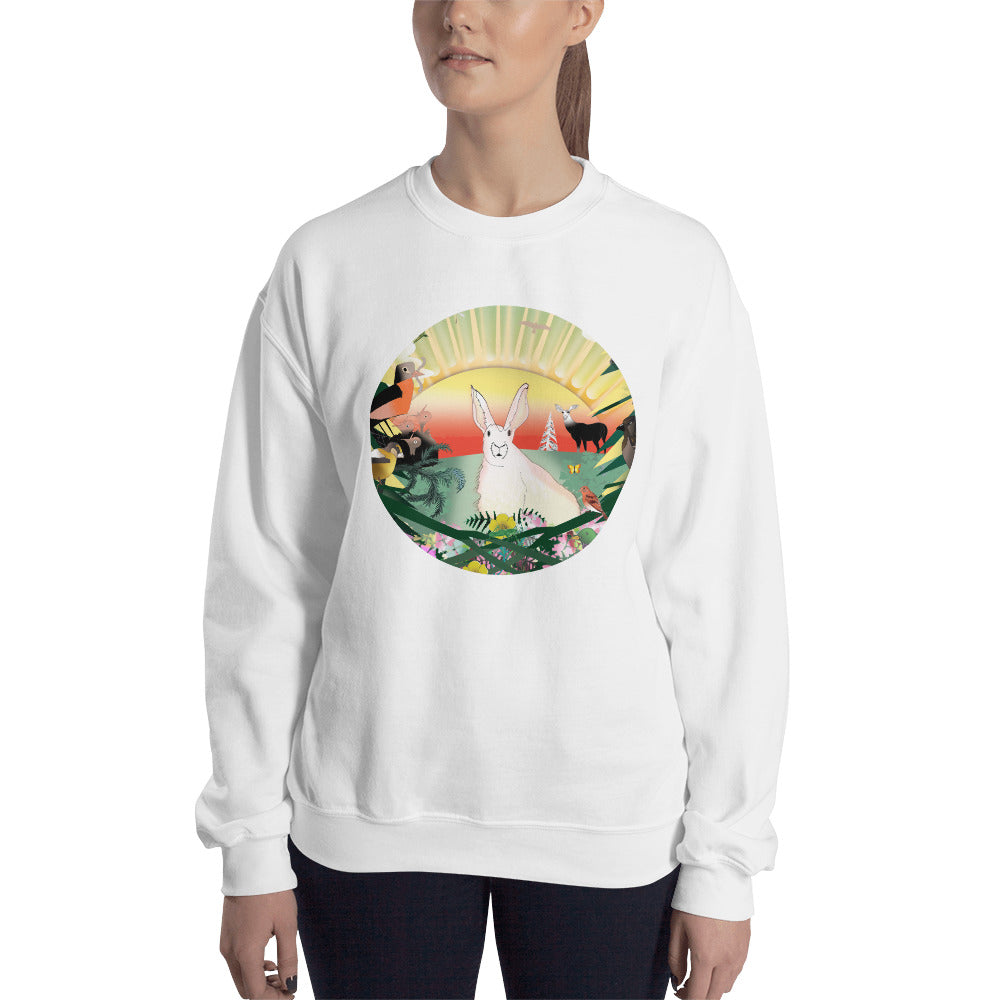 Sweatshirt, Spring Rabbit
