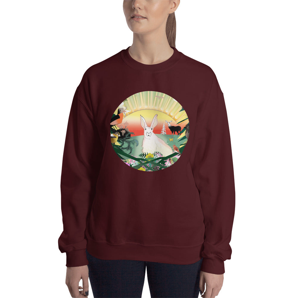 Sweatshirt, Spring Rabbit