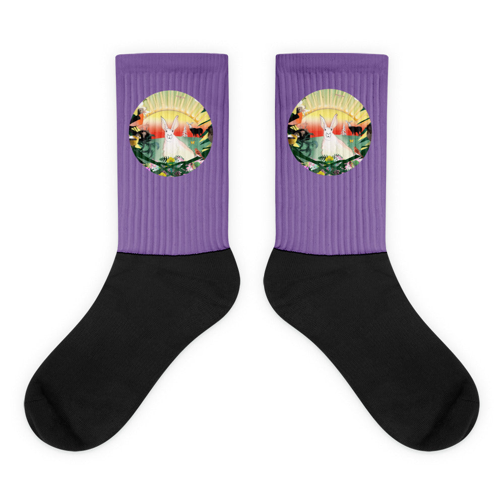 Socks, Spring Rabbit