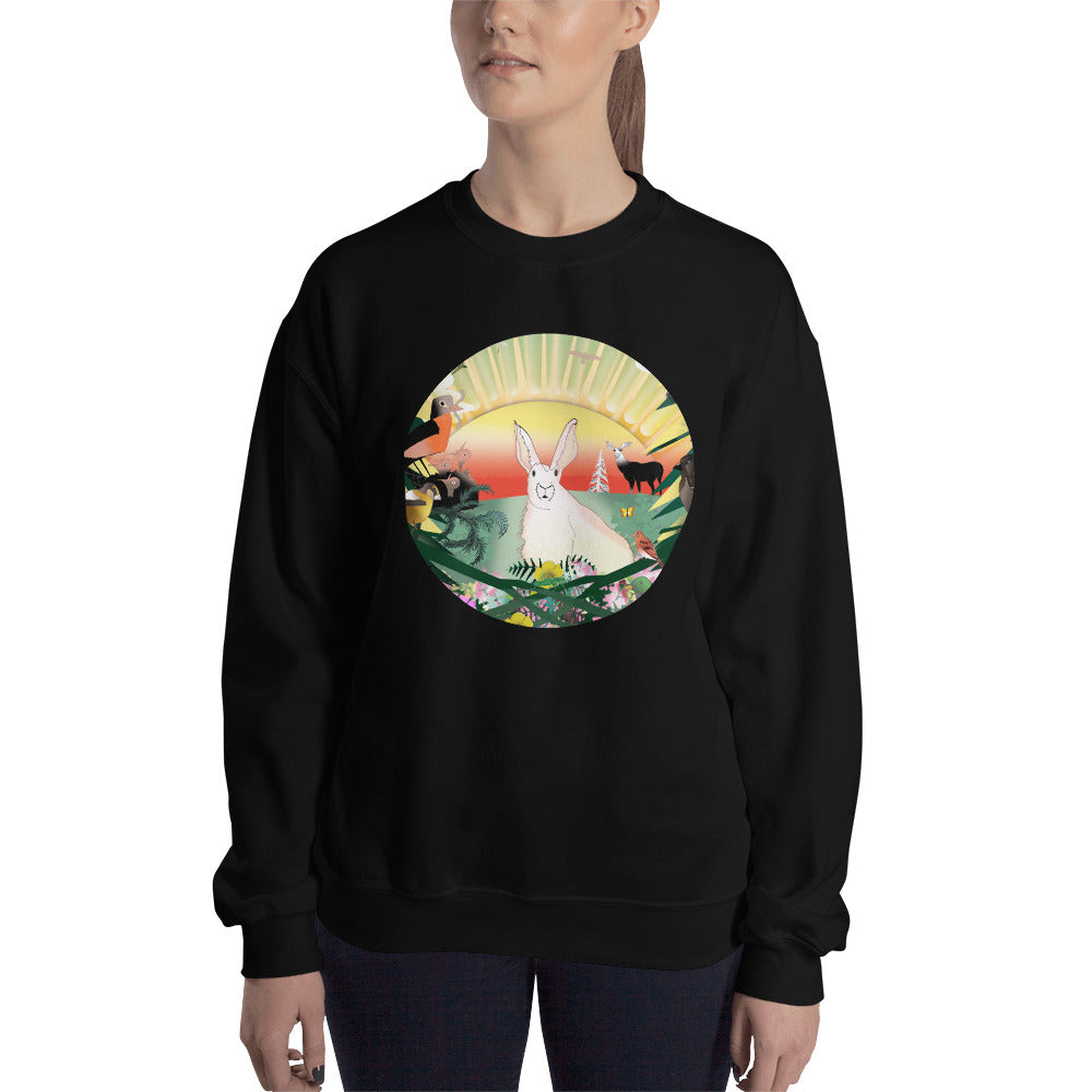 Sweatshirt, Spring Rabbit