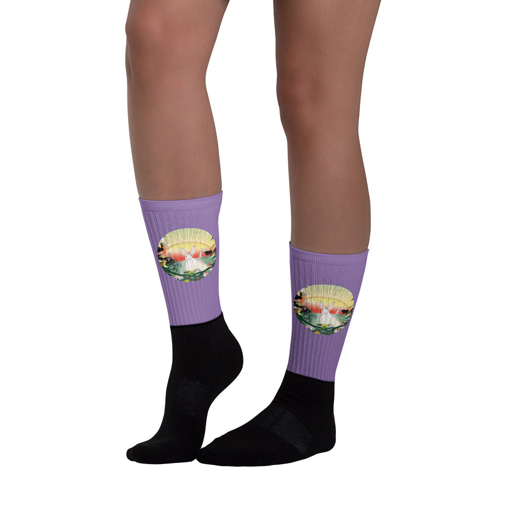 Socks, Spring Rabbit