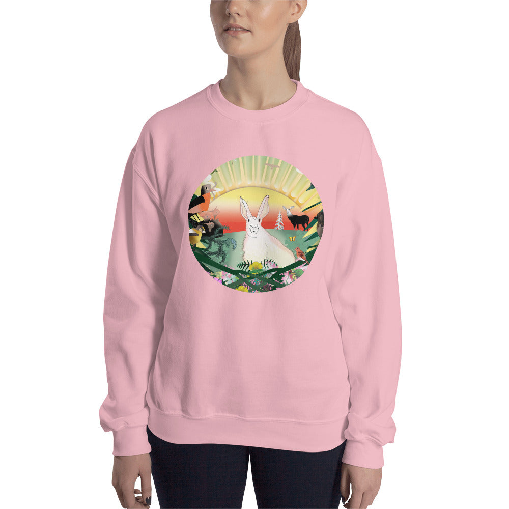 Sweatshirt, Spring Rabbit
