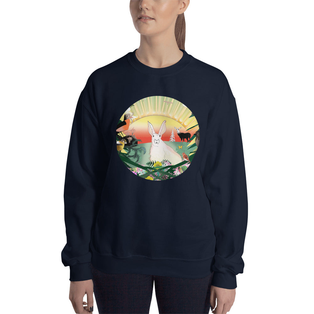 Sweatshirt, Spring Rabbit