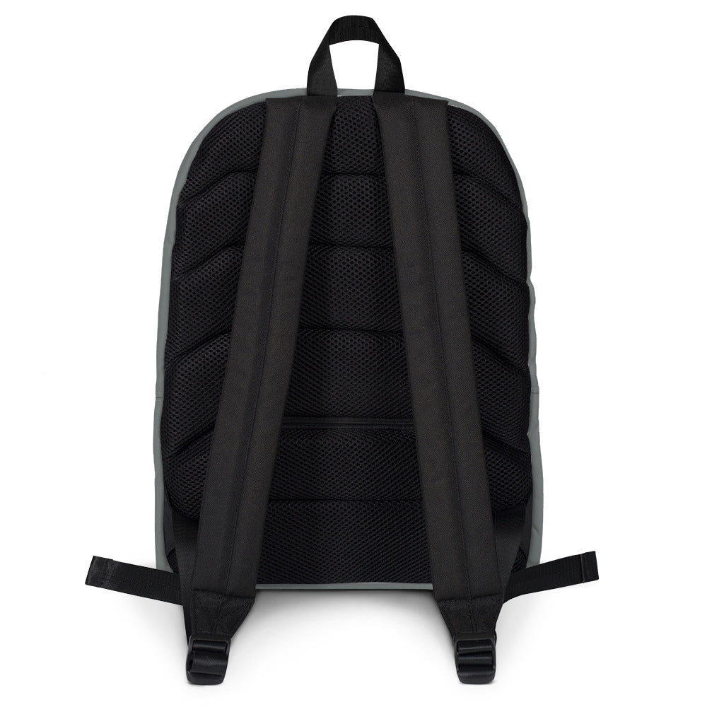 Backpack, Summer Spider