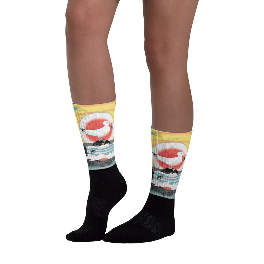 Socks, Summer Gull