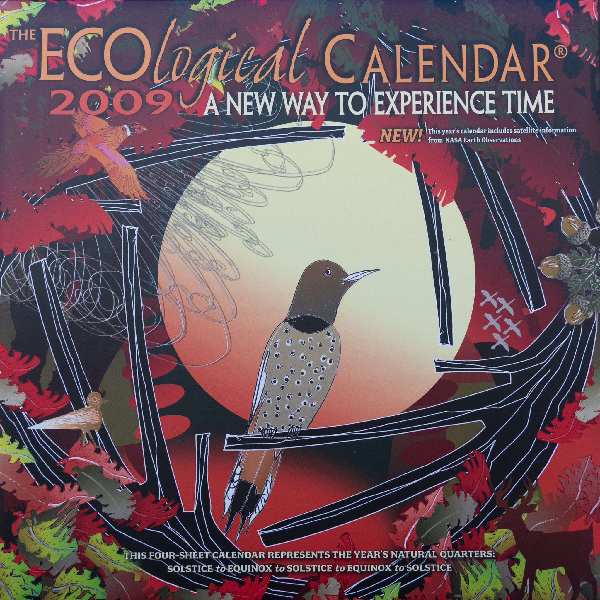 2009 Collectable ECOlogical Wall Calendar